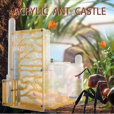 Farm Insect Ant Acryl Moisture With Villa House Nest UK DIY Area Feeding   