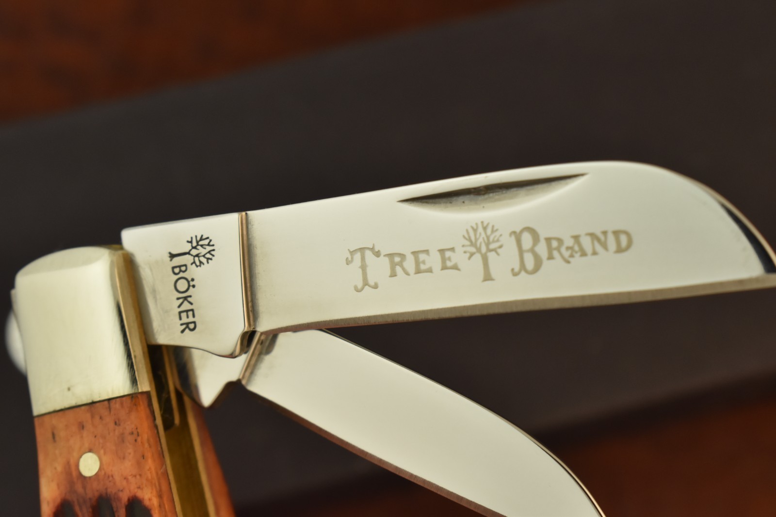 BOKER TREE BRAND PREMIUM 4 BLADED CONGRESS KNIFE NICE JIGGED BROWN BONE (25668)