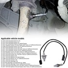 Foto 10 di 13