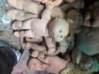 Group Of 7 Cabbage Patch Need To Be Cleaned