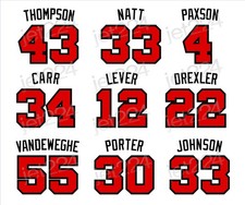 Portland Trail Blazers STICKER DECAL 1980's decade stars