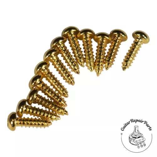 Kluson KTMSG/P Tuning Machine Screws  #3 X 3/8 Round Head (12 pcs) - Gold