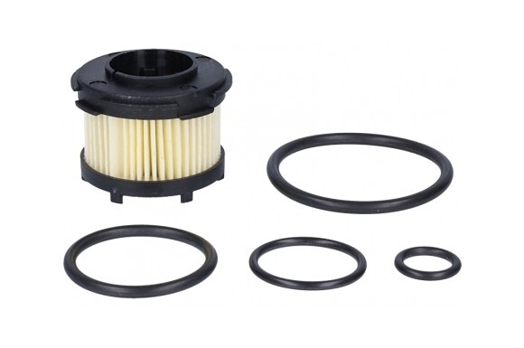 Inserito Filtro Gas BRC Tipo 2 - Con Guarnizioni, Per Impianti GPL E Metano - Foto 5