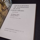 Foto 7 di 15
