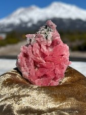 Rhodochrosite, Quartz & Pyrite - Rare, Exquisite, Museum Quality - Mount Shasta