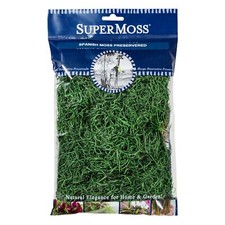 SuperMoss Preserved Decor Spanish Moss, Hunter Green, 2 oz, for Crafts