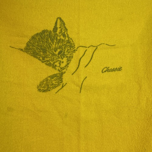 VTG Faribo Chessie Cat C&O Railroad Wool Blanket Passenger Yellow Fringe