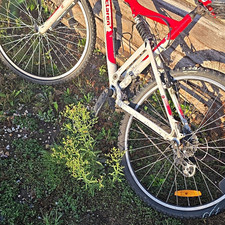 Claren Mountain Bike 26 in Full Suspension (Front & Rear) V-Brake Red/White