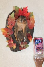 2 New Taxidermy Squirrels Chipmunk Mount Novelty Whitetail Deer Log Cabin Decor