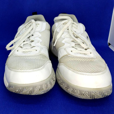 Prince Advantage Lite 2 