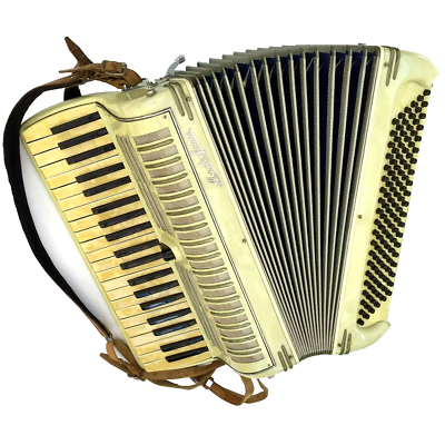 Masterfonic Accordion Keys 120 Bass 41 Treble 2 Registers Italy