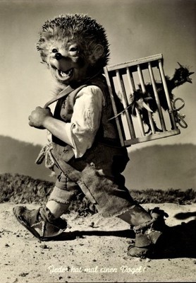 Postcard Mecki the Hedgehog, Everyone Has a Bird, Bird Cage - 2941440