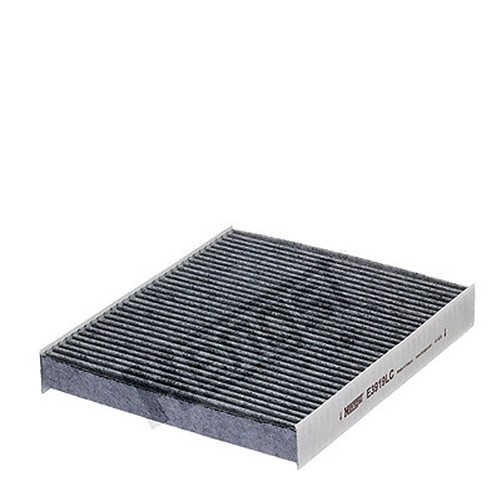 Hengst Filter E3919LC Filter, Innenluft FüR Audi, Jetta, Seat, Skoda-image