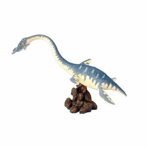 Image of 4893409264144