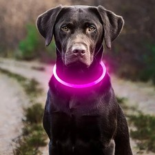 LED Dog Collar USB Rechargeable Glow in the Dark Night Safety Waterproof Pet Ban