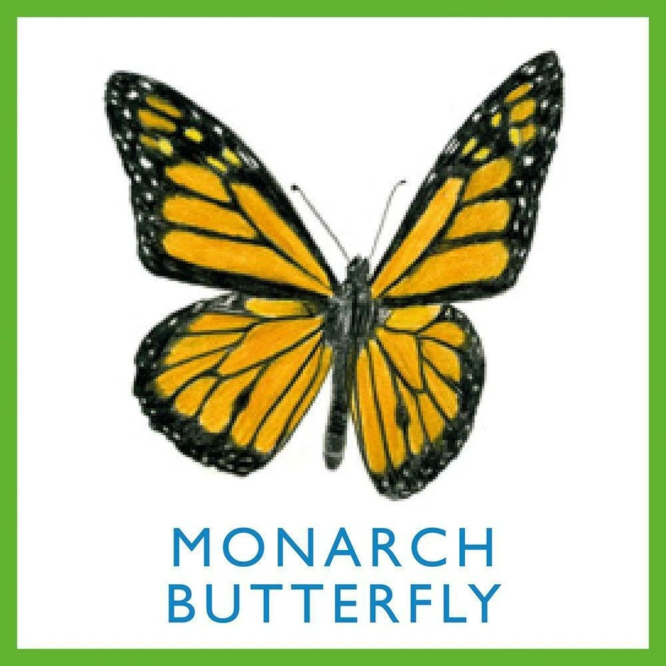 Bug Bingo by Christine Berrie - Image 4 of 4