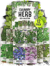 Herb Seeds Variety Pack Culinary Herb Collection 12 Individual Herbs for P