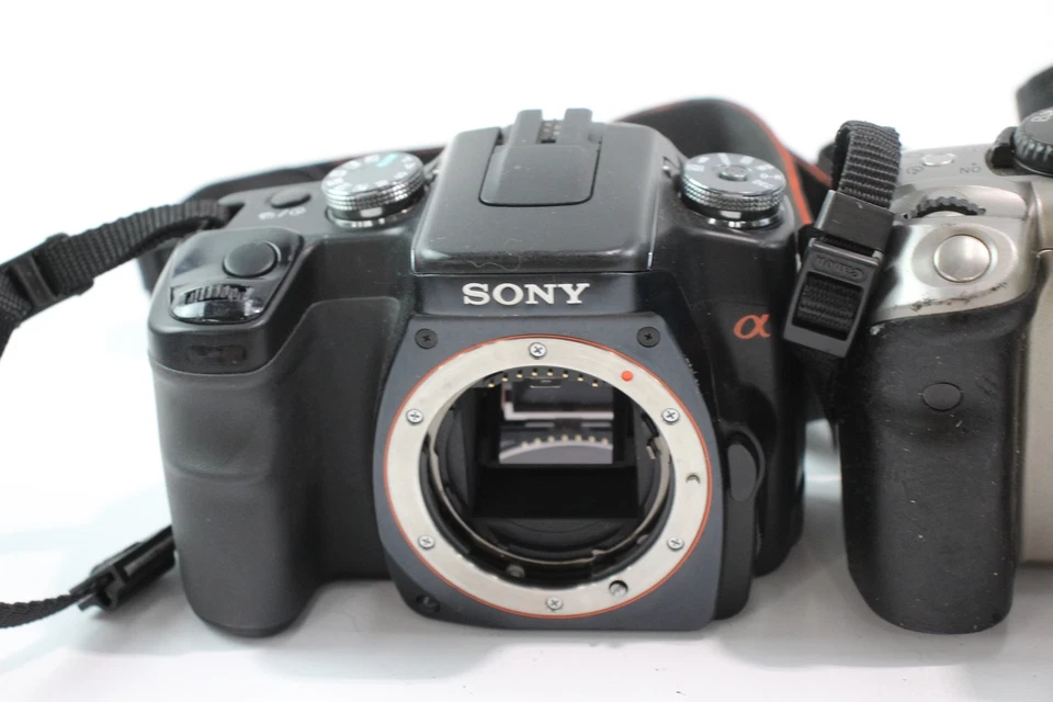 DSLR Digital Cameras Inc Canon EOS 300D, Canon EOS 300D & Sony A100 x 3 - image 2 of 4