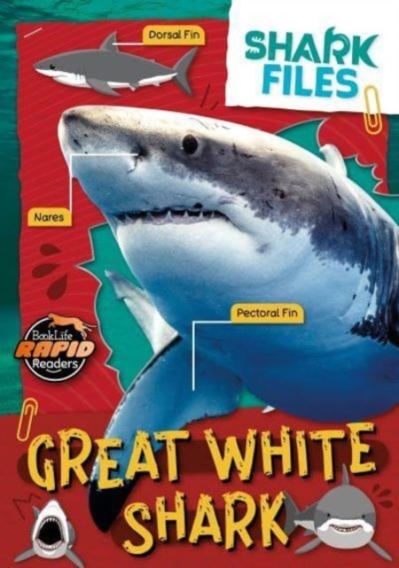 Great White Shark by Robin Twiddy PAPERBACK 9781805056843 - Image 2