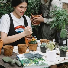 Artificial Flower Home Decor Accessories Decorative Faux Bromeliad Plant