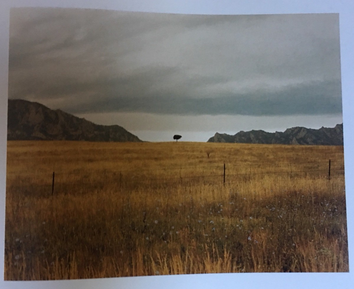 SIGNED Richard Misrach CANTOS DEL DESIERTO HB Desert Cantos W