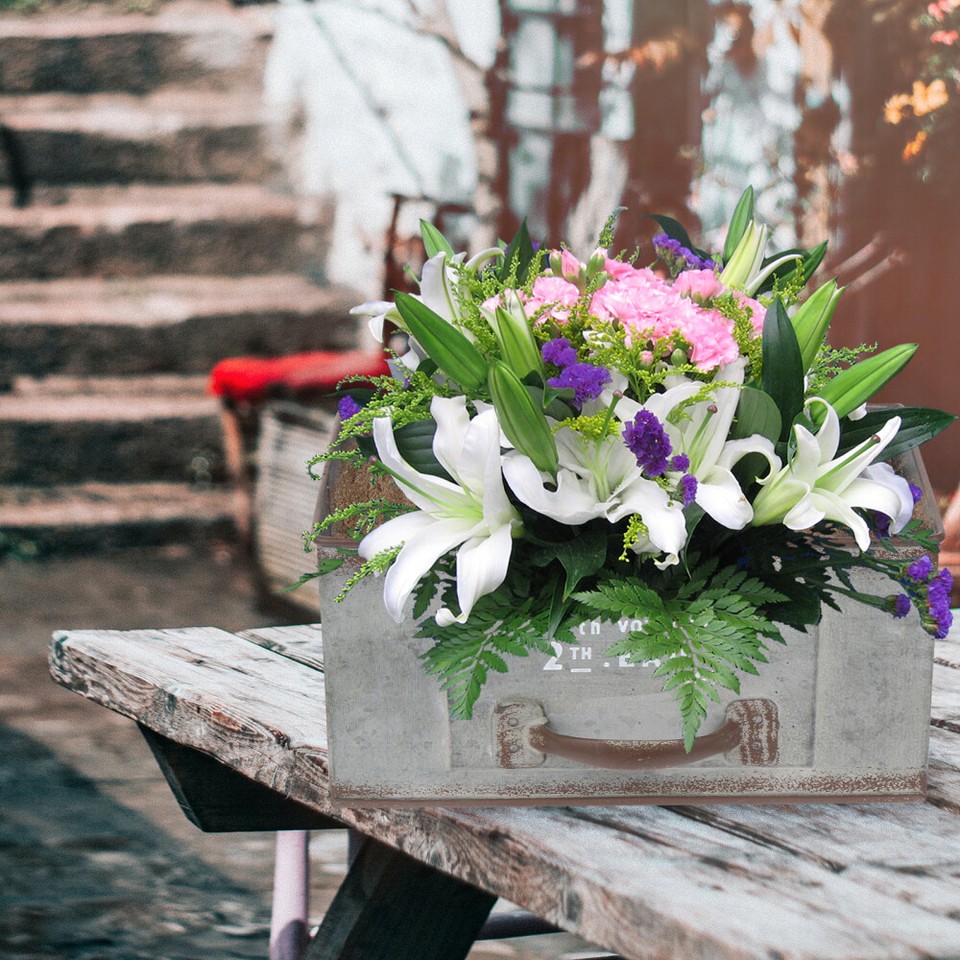 Succulent Planter Galvanized Flower Bucket Retro Tin Pot Vintage Decor