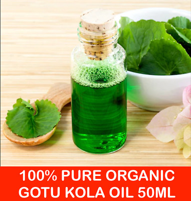 100% REINES - BIO - GOTU KOLA ÖL - CENTELLA ASIATICA - 50ML