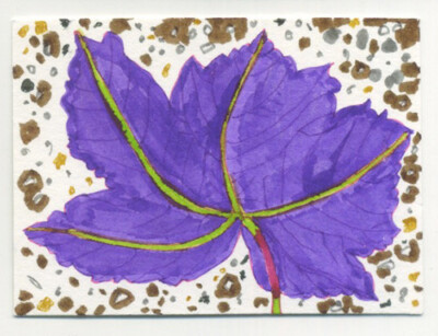 Original signierter ACEO von Lucy Smith. 'Fallen Leaf' Stillleben, Natur, Pflanzen