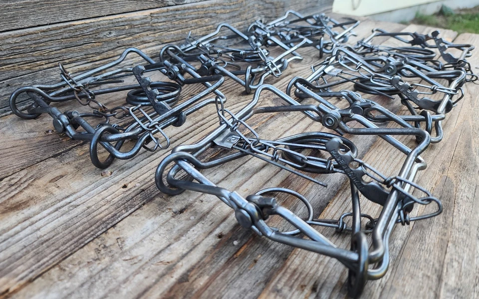 Lot of 6 Bridger 110 Body Grip Traps w/ Chains Conibear Trap For Muskrats & More - Image 2 of 4