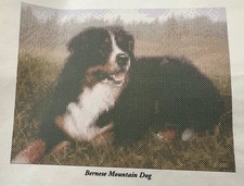 Bernese Mountain Dog Cross-stitch Pattern 112w x 86h stitches