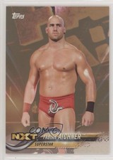 2018 Topps WWE Then Now Forever Bronze Fabian Aichner #129 0x1