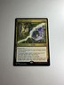 Grub's Command NM Lorwyn Eclipsed Magic The Gathering Mtg Near Mint Goblin