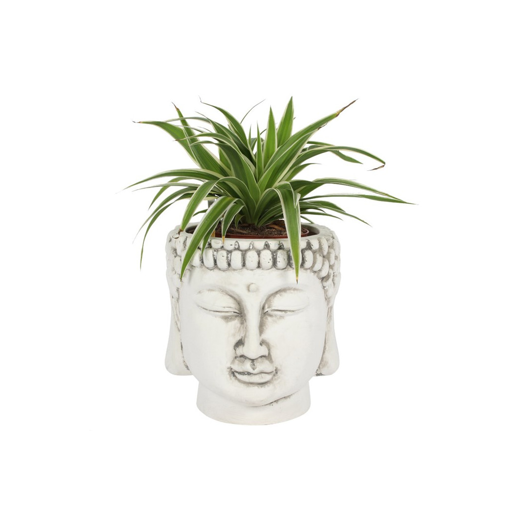 Buddha Head Planter White Terracotta Zen Garden Pot Indoor Outdoor Ornament - Image 4