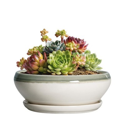 Ceramic Succulent Planters 6 Inch with Drainage - Indoor Outdoor Pots