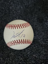 Junior Caminero Hand Signed  OML Baseball  - Tampa Bay  / COA