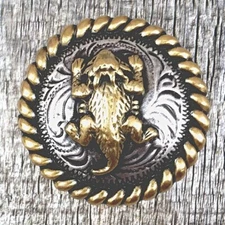 Texas Horned Lizard Horned Toad Concho CON961