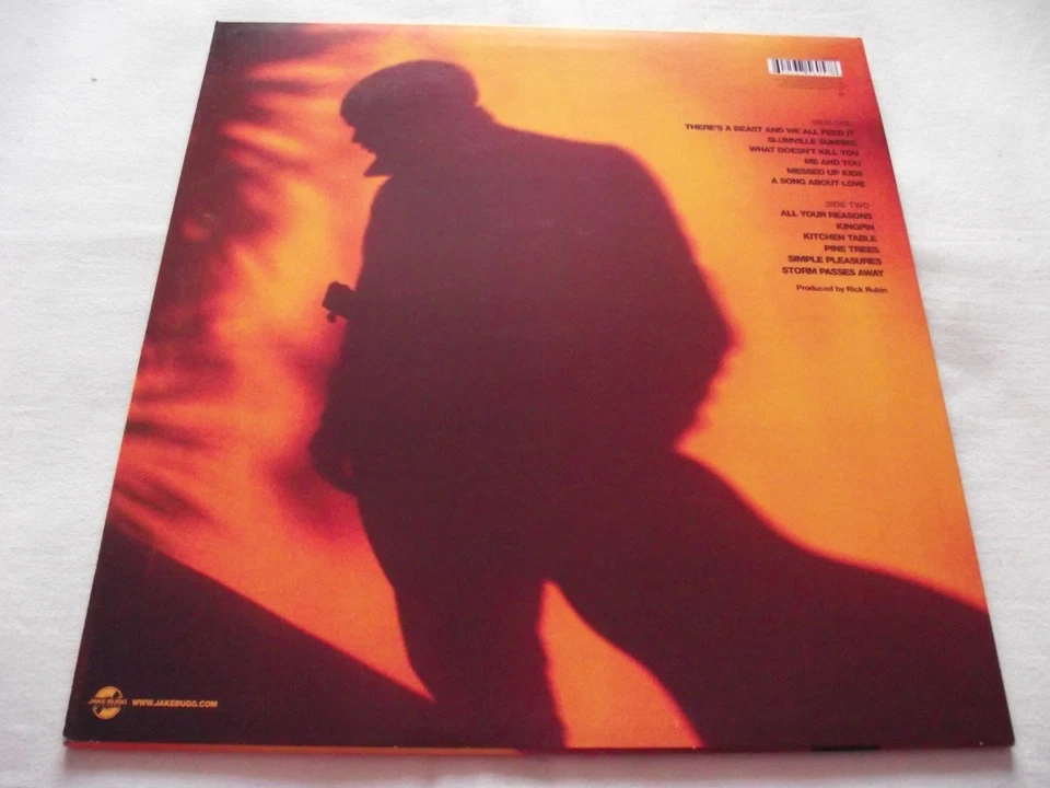 JAKE BUGG ~ SHANGRI LA ** 2013 EU VIRGIN LP - Image 2 of 4