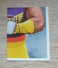 Bild 120 von 300