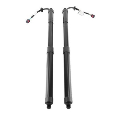 Left + Right Power Hatch Lift Support for Infiniti JX35 QX60 2014-17 90560-3JA0A