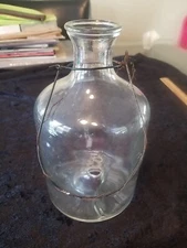Antique Wasp Fly Catcher Jug With Original Wire Hanger