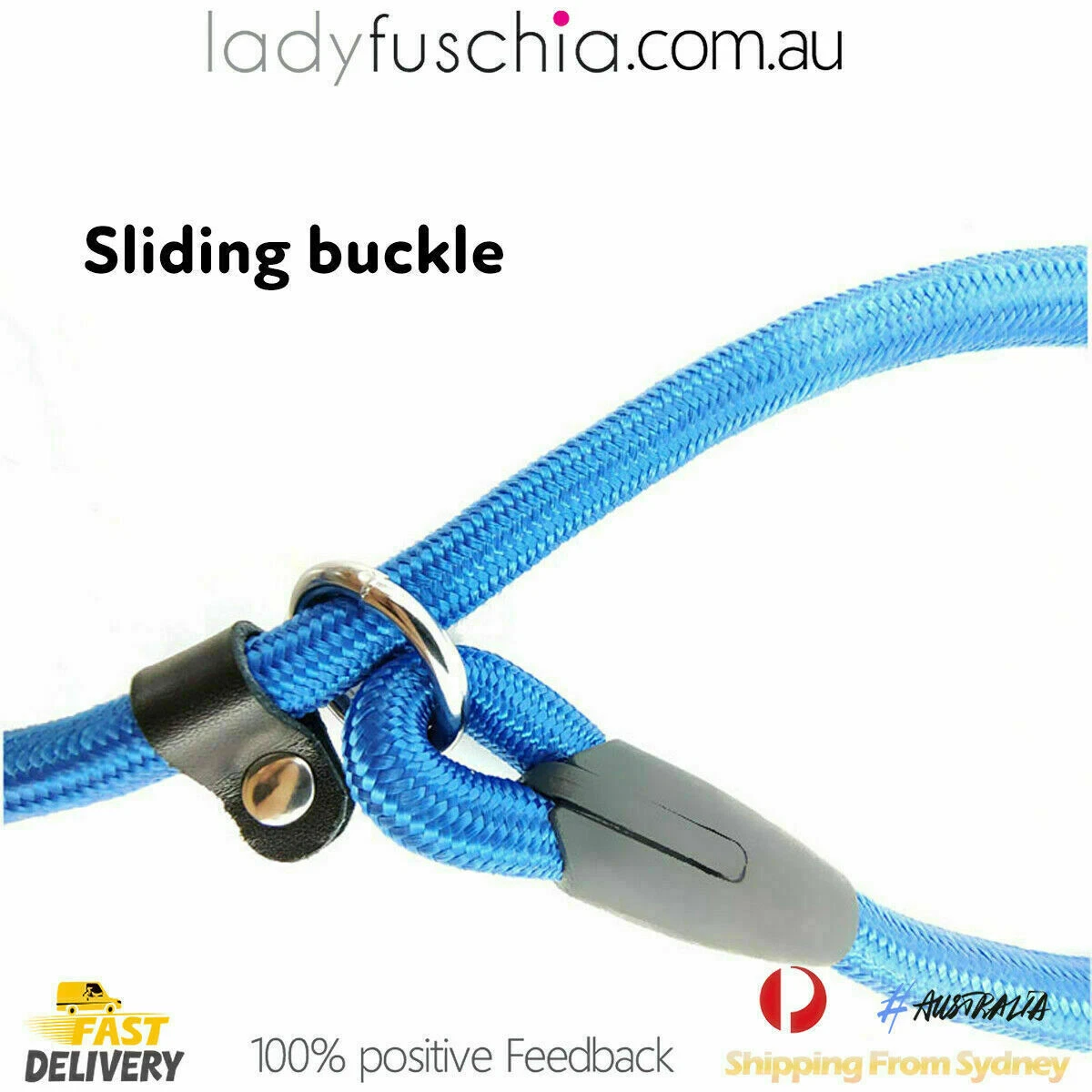 Cesar Millan Dog Puppy Training Correction Leash Slip Lead Pets Nylon Rope New P