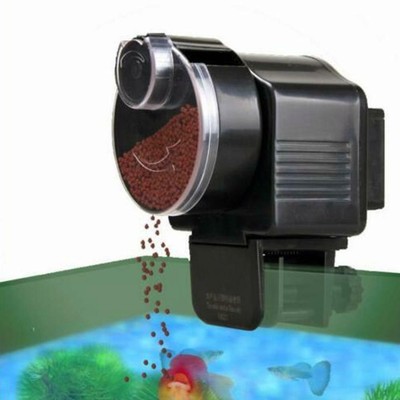 fish feed dispenser