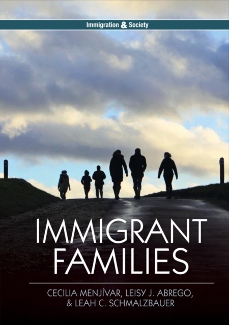 Immigrant Families by C Menjívar PAPERBACK 9780745670164