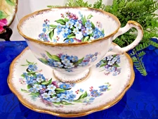 Royal Standard tea cup and saucer Forget me not floral teacup Footed England