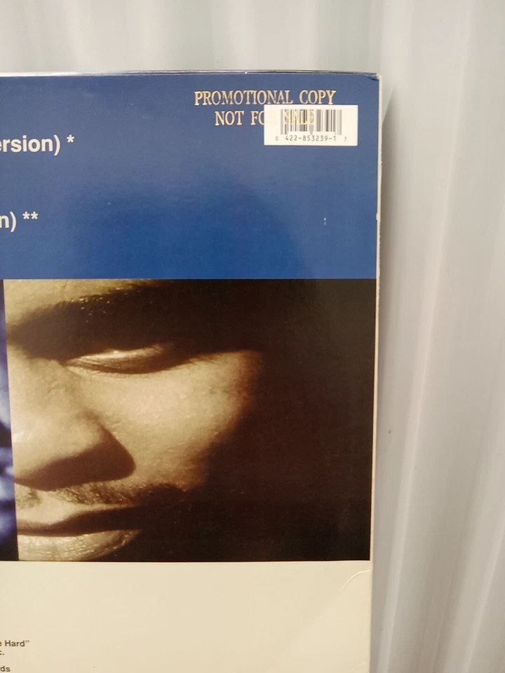 Nice & Smooth-Old To The New | Blunts-1994 RAL 12"PROMO Vinyl LP Showbiz DITC NM - Image 3 of 4