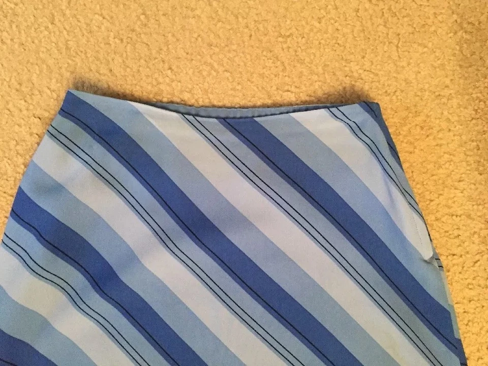 Women's Skirt Sz Small-Medium VILLAGER Blue Diagonal Stripe Lined Long - Изображение 3 из 3