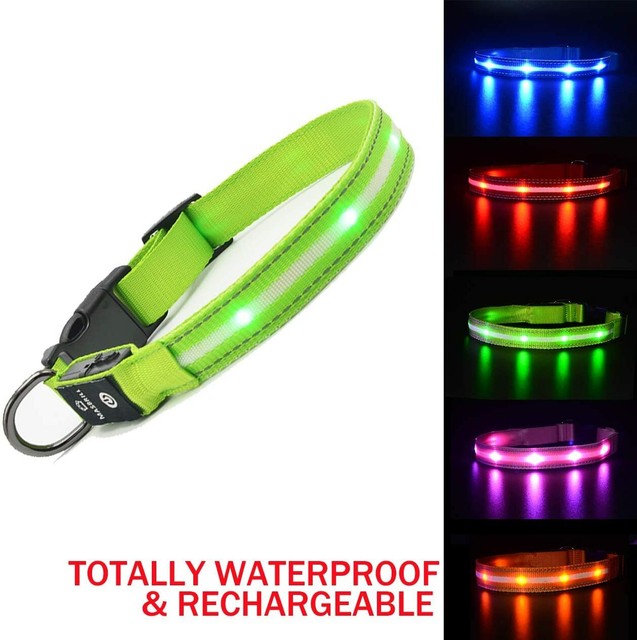 MASBRILL Led Lighted Up Dog Collar Flashing 100 Waterproof USB
