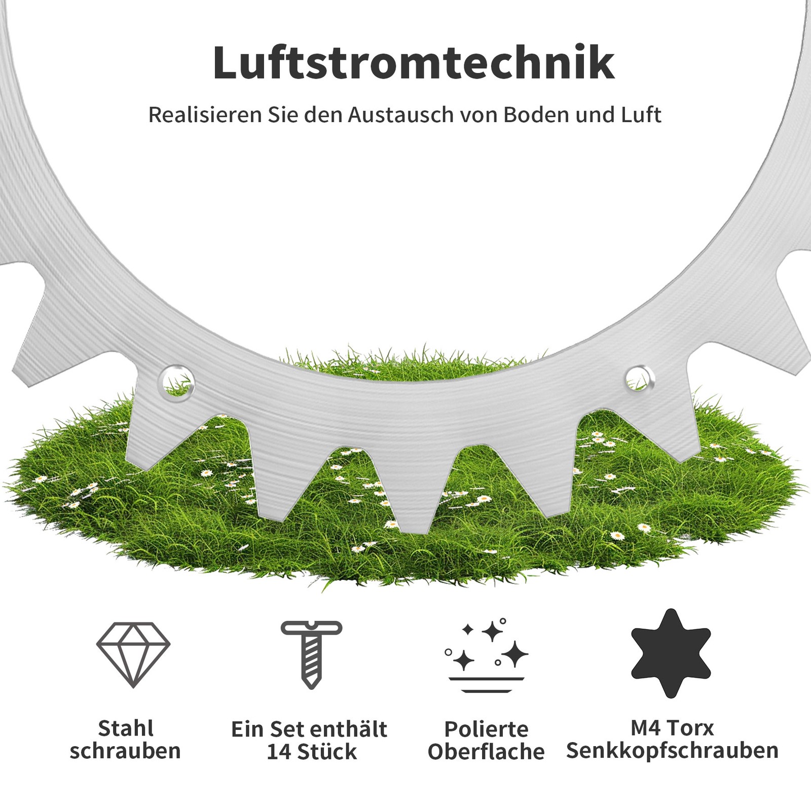Bild 4 von 10