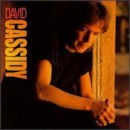 David Cassidy - David Cassidy