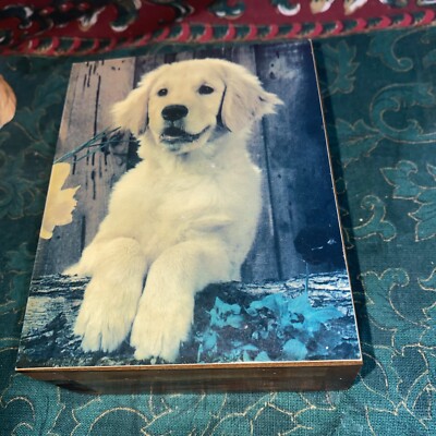 Vintage Magic Forest Lake George NY Souvenir Cedar Wood Golden Retriever Box